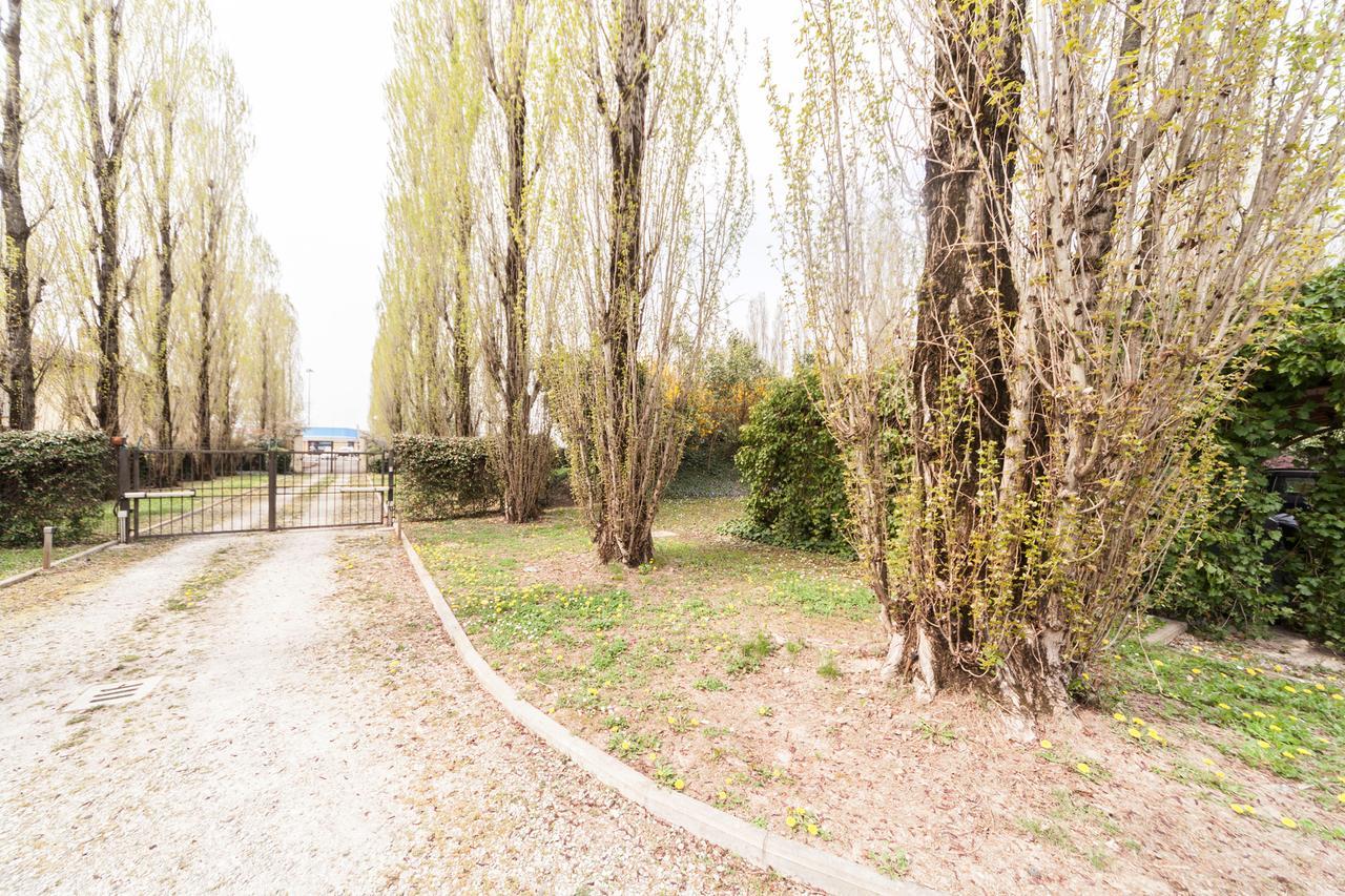 Отель Il Borgo Di Minerva Минербио Экстерьер фото